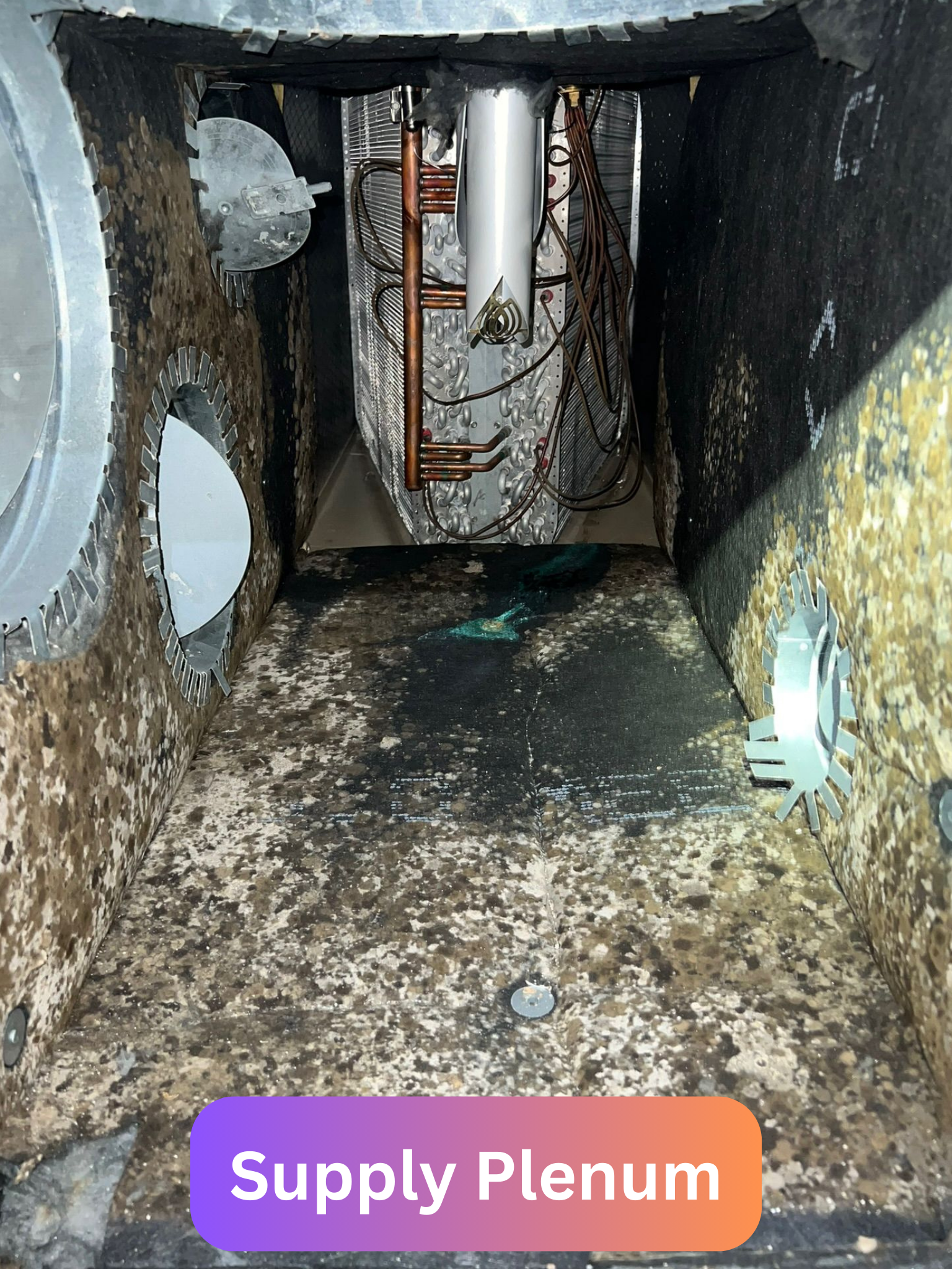 Condenser Coil 5