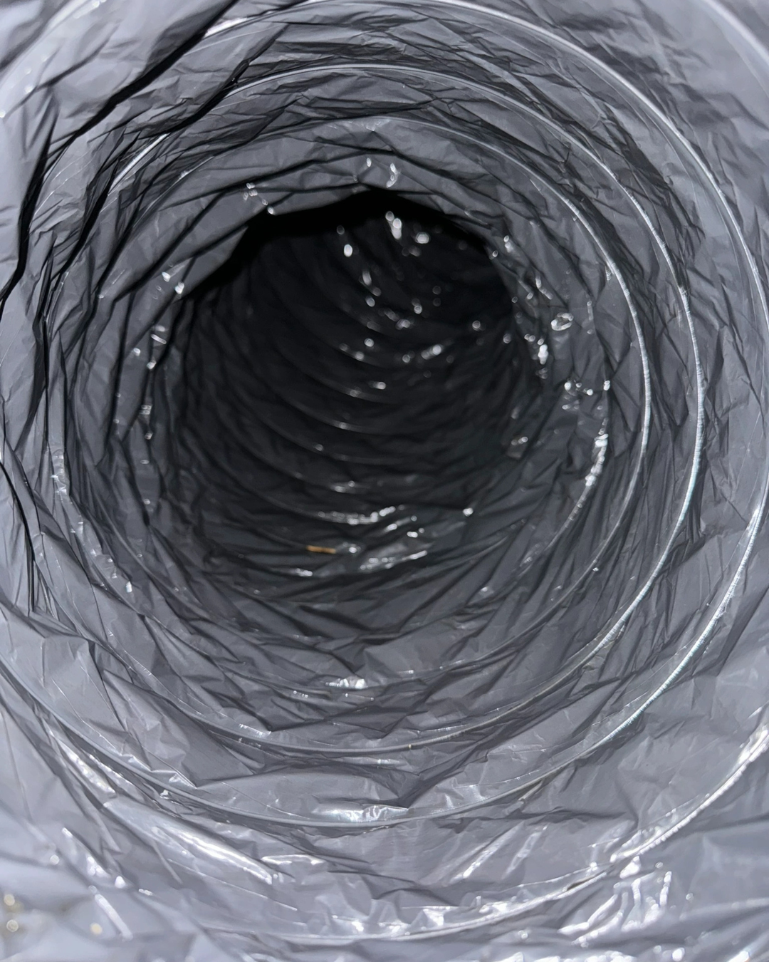 Untitled-design-18png