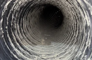 Untitled design - 2025-05-26T123217349