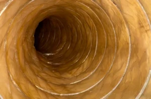 Untitled design - 2025-05-26T123308143