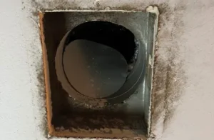 Untitled design - 2025-05-26T123918067